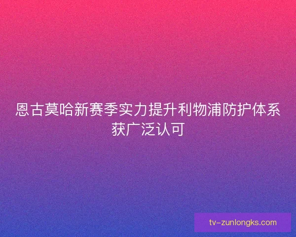 恩古莫哈新赛季实力提升利物浦防护体系获广泛认可